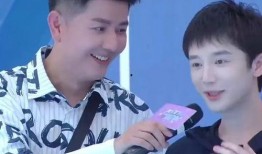 李朝爆料陈律视频大全,独家爆料背后的真相与争议